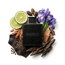 RAYHAAN OBSIDIAN - Rayhaan | Perfume Árabe Masculino con Iris empolvado, Cuero y Maderas oscuras